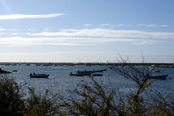 landscape with sea and sky