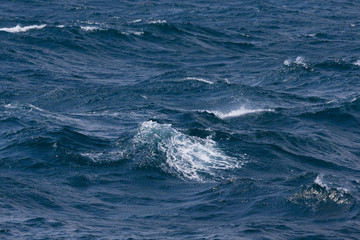 Waves of stormy cold sea on the south of Iceland