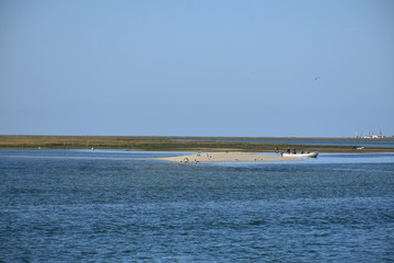 boat in the sea