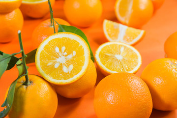 random type oranges and citrus fruits on vibrant orange background citrus fruit