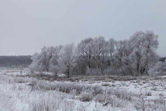 Beautiful winter landscape in russian province