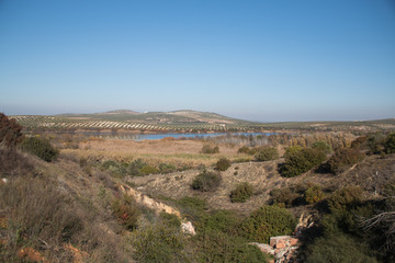 Paisaje natural, fondo laguna, terreno con mucha diversidad animal.