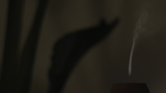 slowmotion of aromatic diffuser with vapor coming out silhouette detail