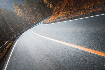 Country road curve. Turn. Forest.