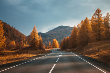 Country road in mountains. Autumn.