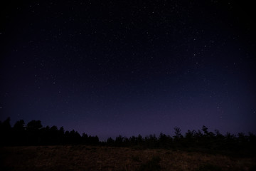 Fototapeta na wymiar Photography of purple night sky full of stars and pines and trees in the mountain