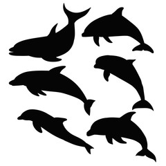 vector, isolated, black silhouette dolphin is swimming, set