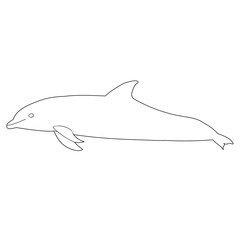 vector, isolated, sketch, contour, dolphin swims, coloring book