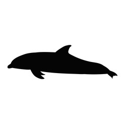 isolated, silhouette dolphin is swimming
