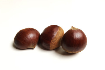 Obraz premium Chestnut close-up