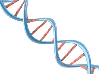 DNA molecule structure background. 3d illustration