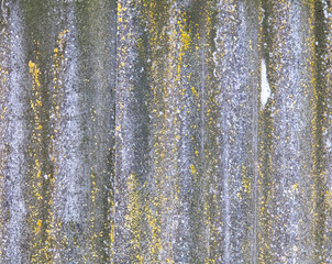 Moss on slate as an abstract background