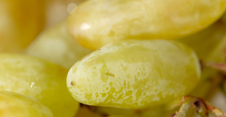 Ladies finger grapes as a background