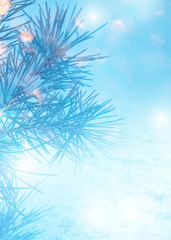 Fototapeta na wymiar Winter christmas background. Blurry pine branches close-up, New Year's blurry lights, snowflakes