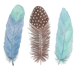 Blue and brown feather pen isolated on a white background. Watercolor hand drawn picture