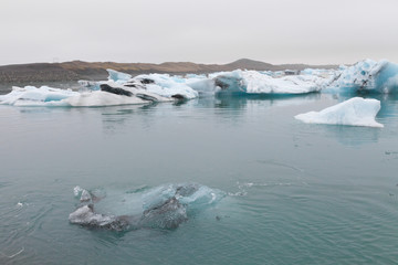 Iceberg lagoon jokulsarlon on the south of Iceland