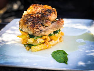 tasty grilled chicken with french fries