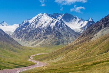 Majestic snow capped mountain peak with green alpine meadows