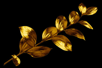 One golden leaves branch on black background isolated closeup, decorative gold color plant sprig,...