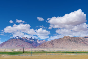 Majestic mountains and horse on meadows in Pamirs plateau