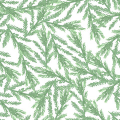 Naklejka na ściany i meble seamless pattern watercolor drawing botanical, branches of spruce, pine, isolated object