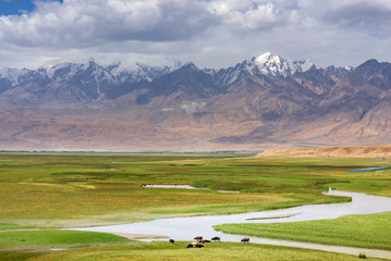 Fresh green meadows of prairie and snow-capped mountain ranges