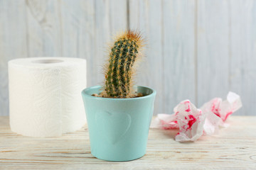 Cactus and toilet paper on white wooden table. Hemorrhoid problems