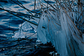 Eiszapfen an einem Seeufer, die Schilf umhüllen im Abendlicht
