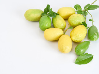 Lemon with leaves on white background