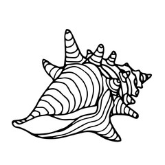 empty striped shell with thorns of a marine mollusk or hermit crab, vector illustration with black contour lines isolated on white background in Doodle and hand drawn style