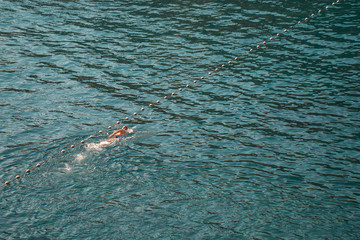 Aerial view to a man swimming in a sea along safety buoys