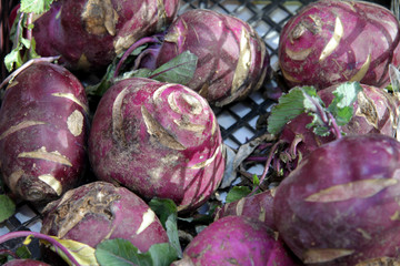 Raw Organic Purple Kohlrabi on a farmer market. Root veggie background.