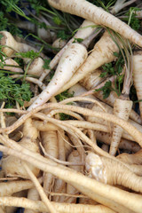 Fresh organic parsnip on a farmer market. Parsnip background
