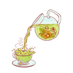 Vector tea flowers brew process. Make and pour in transparent cup hot aromatic drink with blossoming tea leaves. Sketch hand drawn illustration.