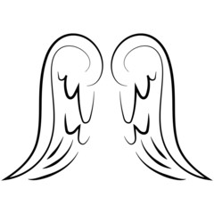 Wings on white background vector illustration hand draw desing