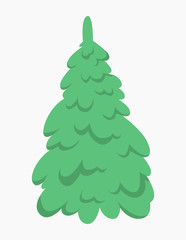 Green fir for christmas and new year celebration