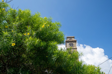 The Clocktower at Galle Fort, with flowering tree on a sunny day in Sri Lanka