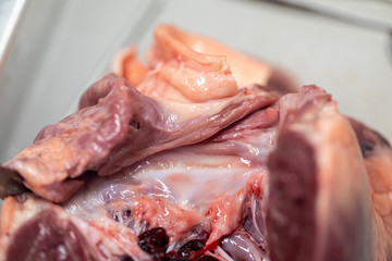 Concept of Education anatomy and physiology of heart in laboratory.