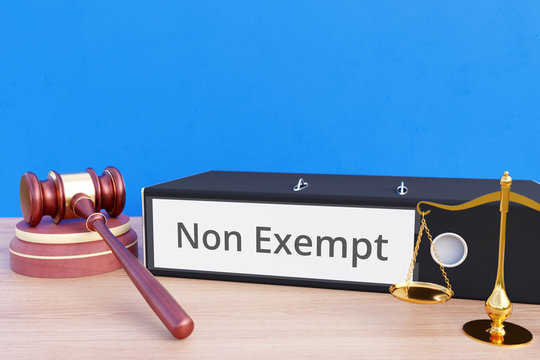 Non Exempt – Folder With Labeling, Gavel And Libra – Law, Judgement, Lawyer