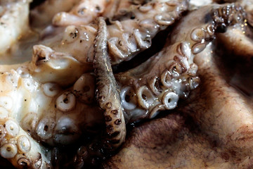 'A piscaria © cristianon