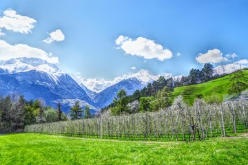 Fototapete bei efototapeten.de bestellen   
