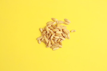 melon seeds on colorful background