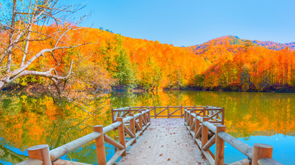 Autumn landscape in (seven lakes) Yedigoller National Park Bolu, Turkey