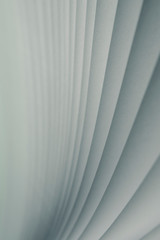 Obraz premium Defocused background. A light background from the white pages of a white open book