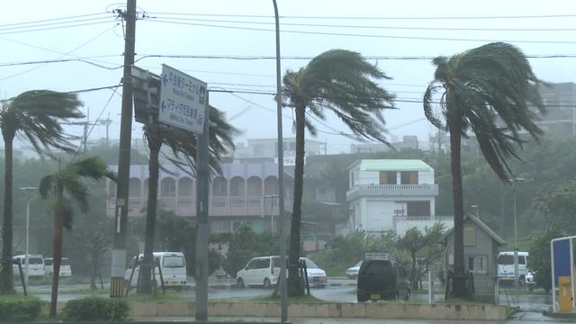 Strong Wind Blows As Hurricane Approaches City - Fitow