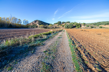 Camino en el campo en Aragosa. Guadalajara. España. Europa.