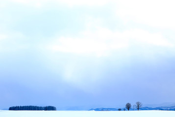 北海道の雪景色	