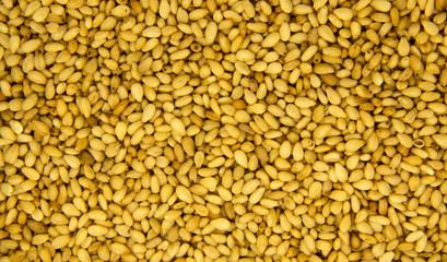 Full frame in sesame for background.