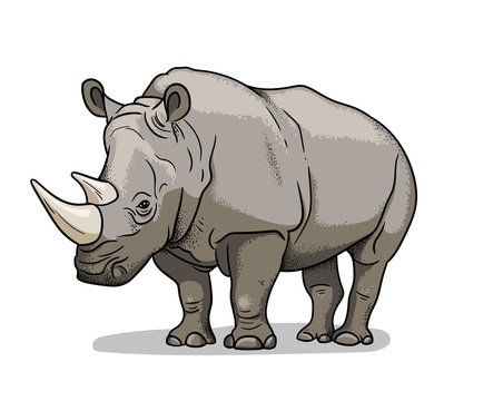 Rhino Cartoon Images – Browse 26,634 Stock Photos, Vectors, and Video |  Adobe Stock
