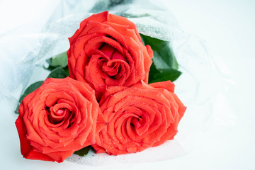 Colorful flower bouquet from red roses isolated on white background. Closeup.